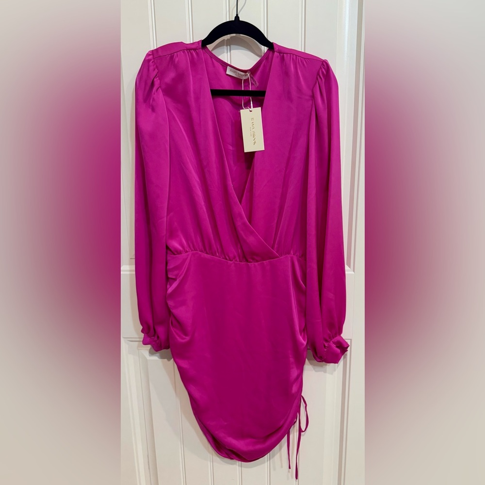Ramy Brook NWT Foxy Dress color Elpin (Fuchsia)
